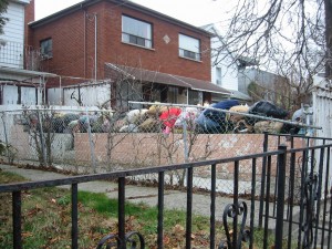 Case22Detritus
